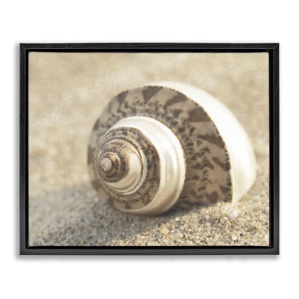 Stupell Neutral Tone Seashell Framed Floater Canvas Wall Art Design By Dora Rotondella