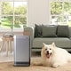 preview thumbnail 2 of 3, Nuwave OxyPure Air Purifier