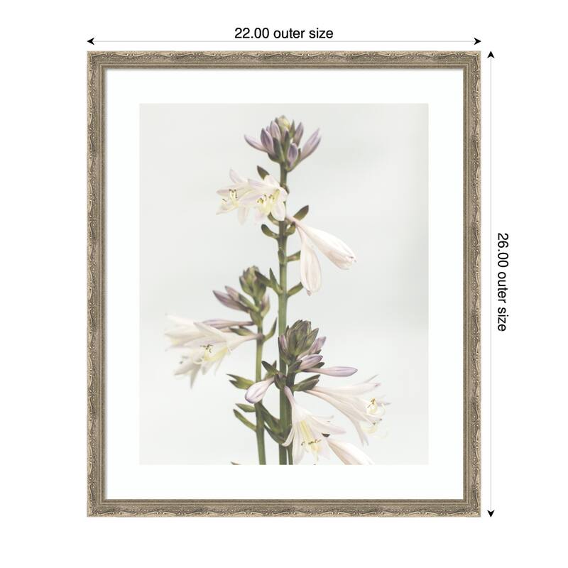 Kate and Laurel Framed Art Hosta by Alicia Abla