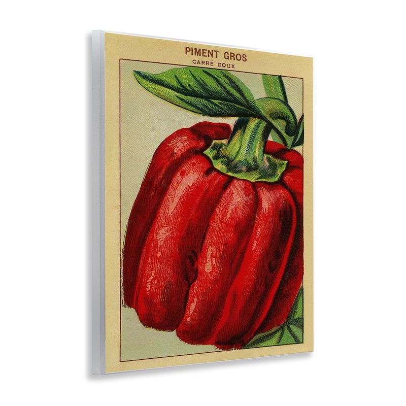 Stupell Country Vintage Pepper Wall Plaque Art Design By Lil' Rue