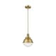 Option Brushed Brass / Seedy
