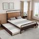 Option Walnut