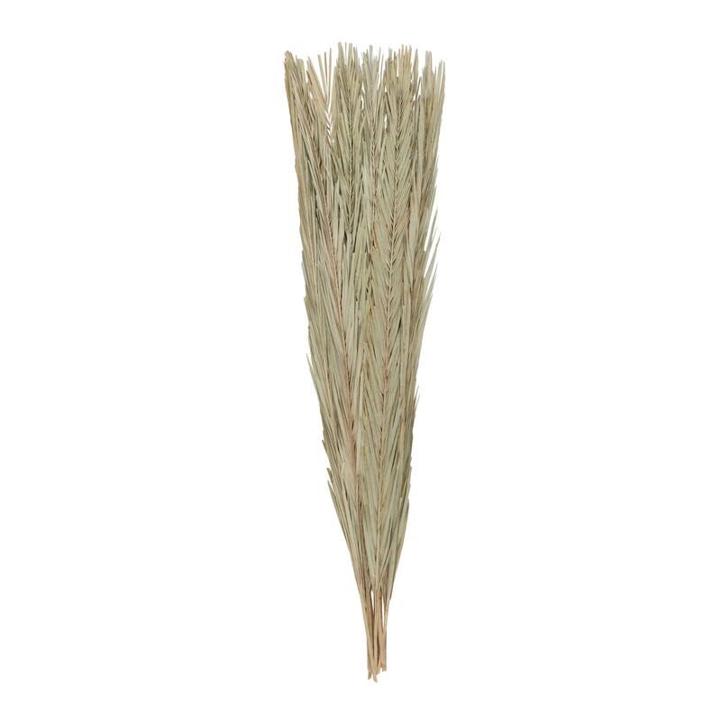 Palm Leaf Tall Home Decor Natural Foliage with Grass - Green - Roche River Decor