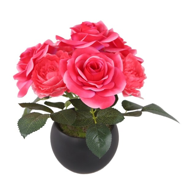 9" Potted Pink Rose Flowers - N/A