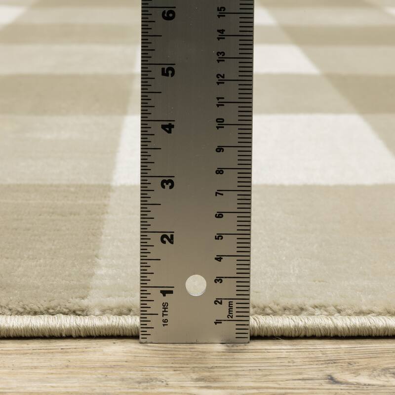 Style Haven The Gray Barn Told Gait Gingham Checker Area Rug