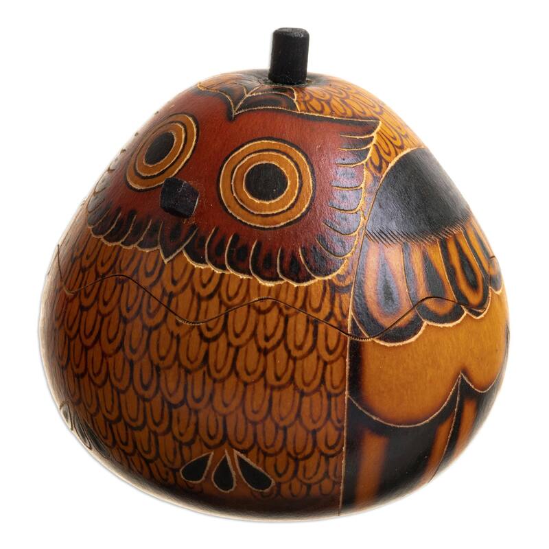 Novica Handmade Fortunate Owls Dried Mate Gourd Decorative Boxes (Pair)