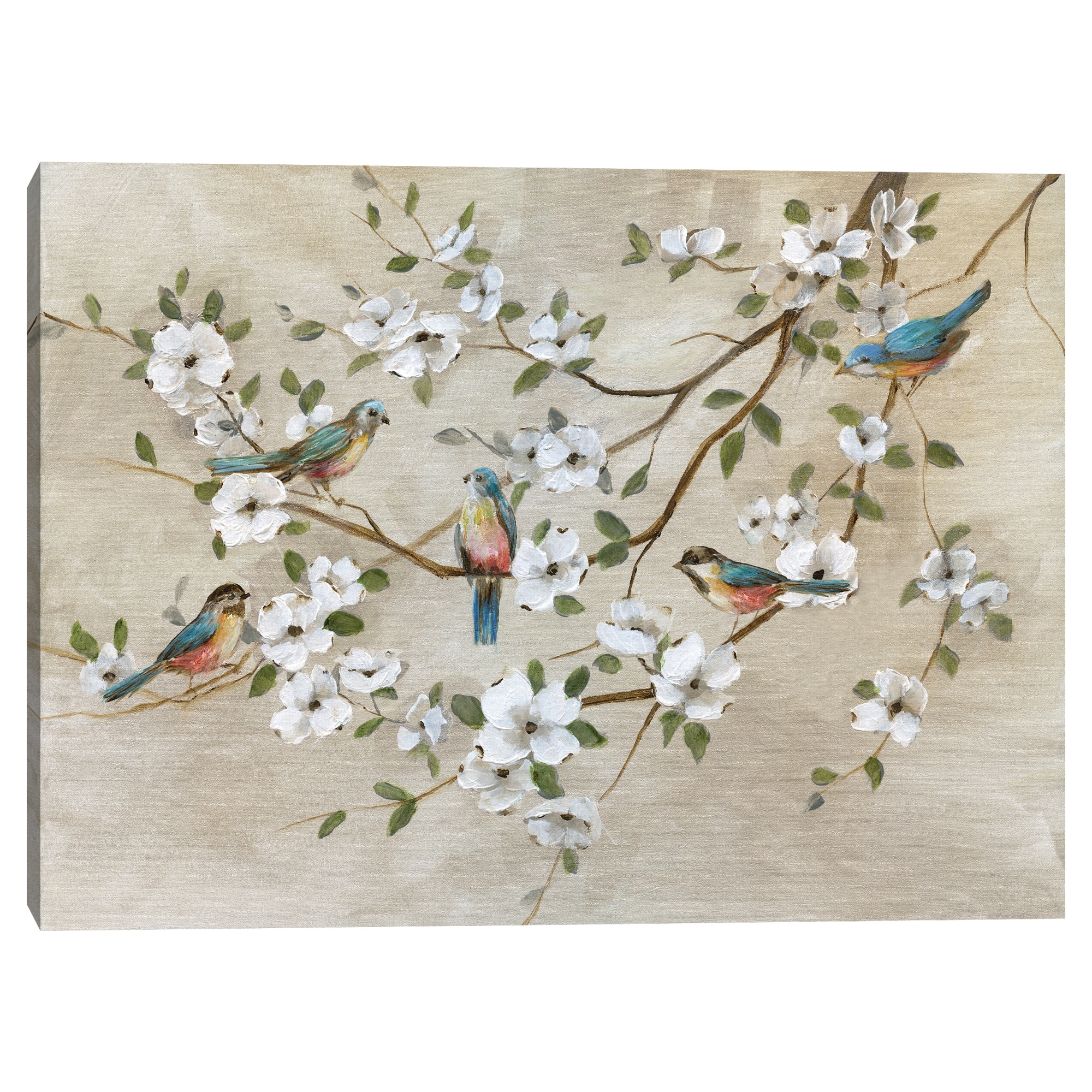 Birds of a Feather by Nan Canvas Art Print