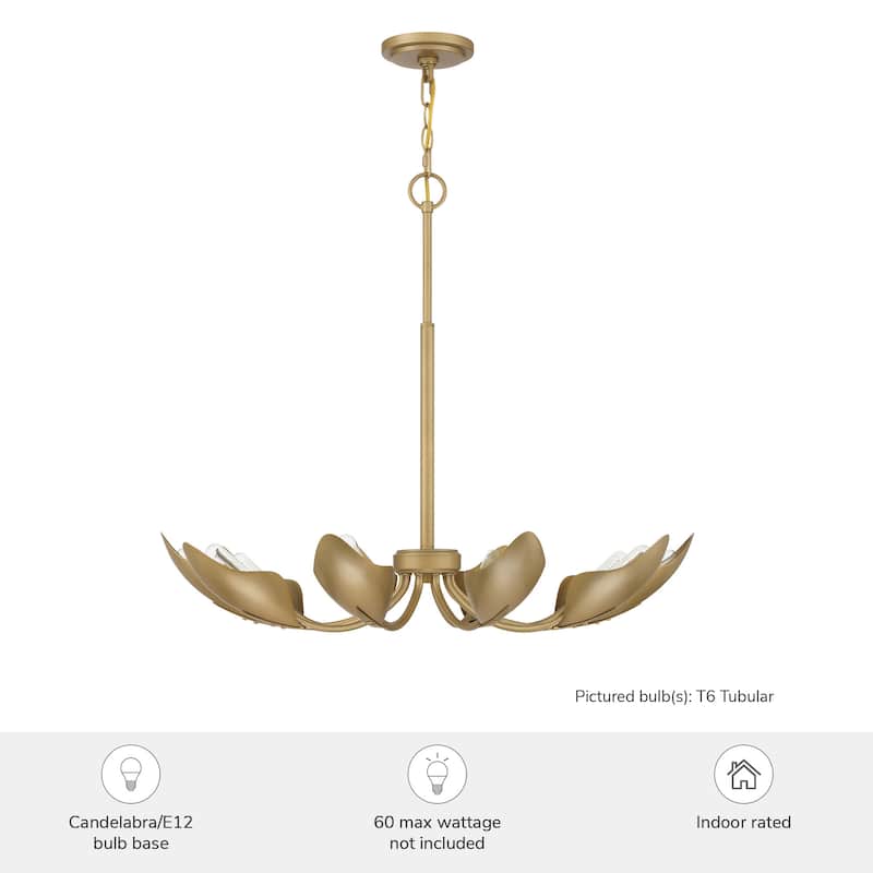 Hunter Juneway 10 Light Chandelier – Transitional, Modern/Contemporary – Dining Room, Living Room, Bedroom, Entry