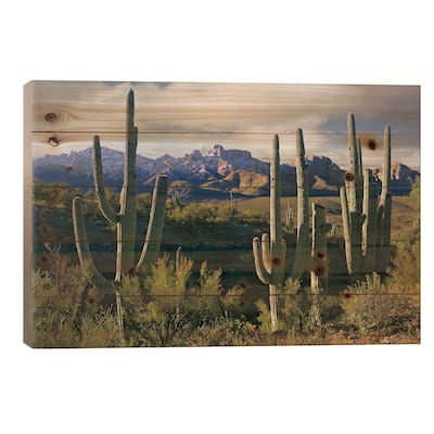 Saguaro Cacti And Santa Catalina Mountains, Arizona Print On Wood by Tim Fitzharris - Multi-Color