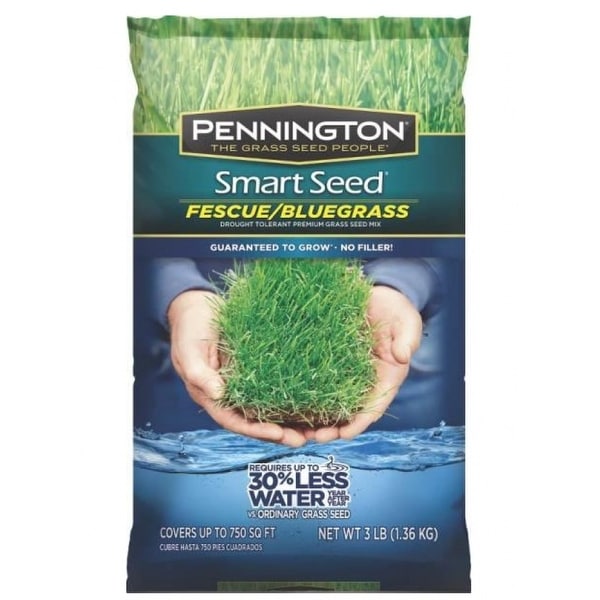Pennington 100086834 Fescue Bluegrass Premium Grass Seed Mixture