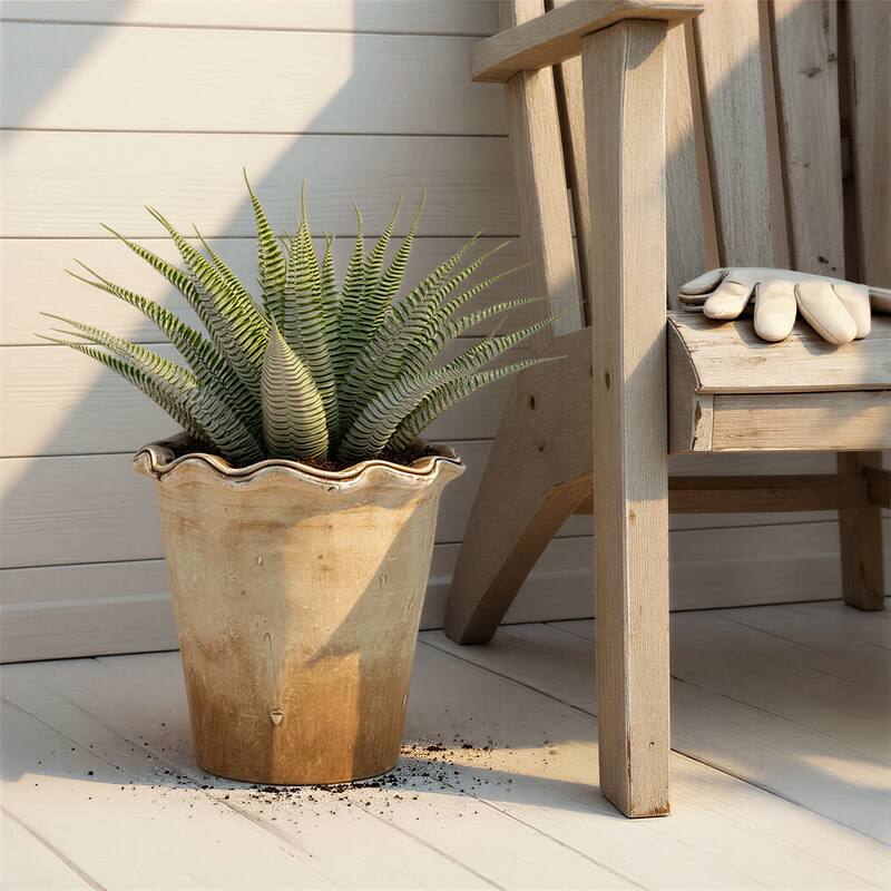 Terra-cotta Planter with Ruffled Edge - 6.88"L x 6.88"W x 6.88"H - Natural
