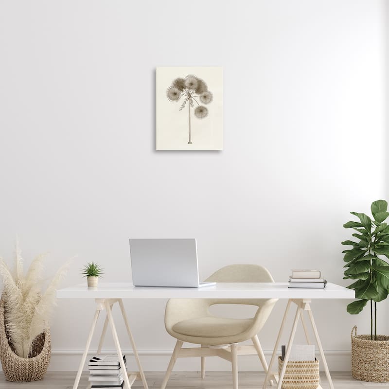 Stupell Vintage Study of Palm Tree Canvas Wall Art Design By Phillipa Katz