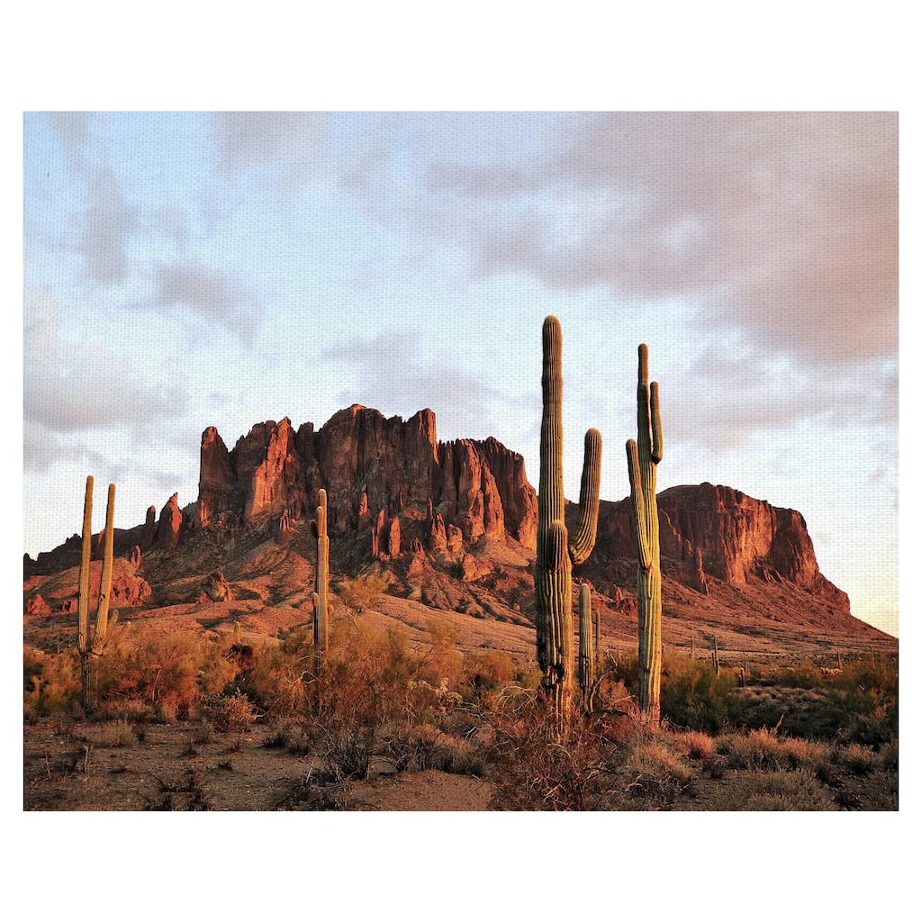Amber Desertscape by Belle Maison Canvas Art Print