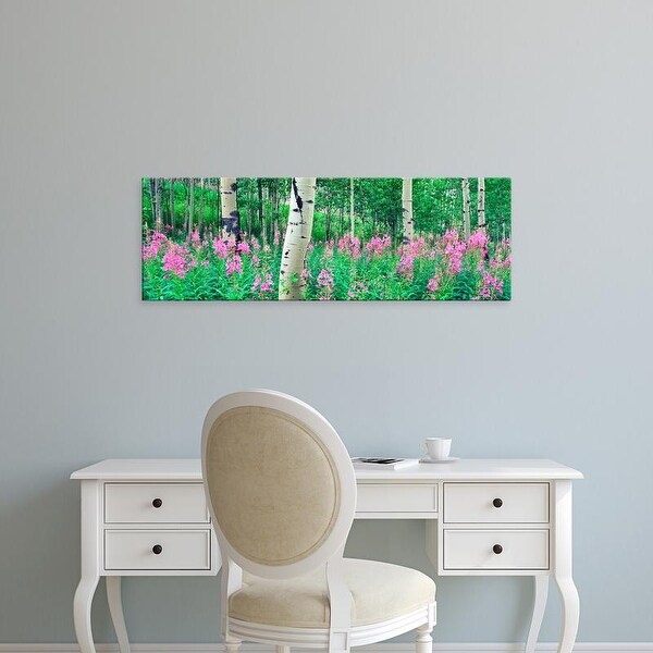 Easy Art Prints Panoramic Images's 'Fireweeds flowers among Aspens on the slope of Shadow Mountain, Bridger