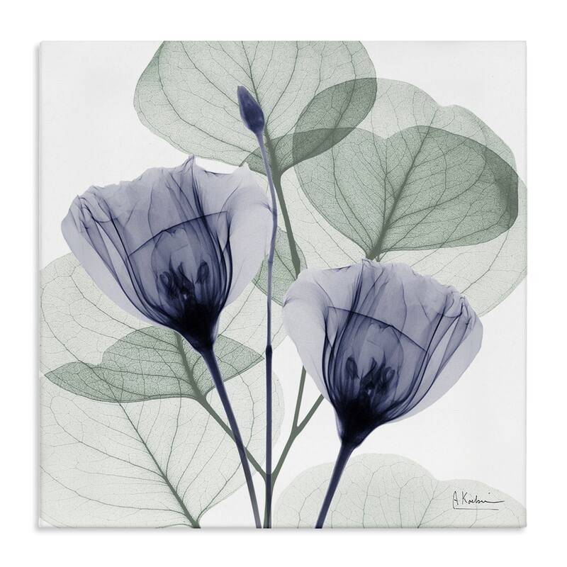 Stupell Contemporary Eucalyptus & Herbs Canvas Wall Art Design By Albert Koetsier - 17 x 17