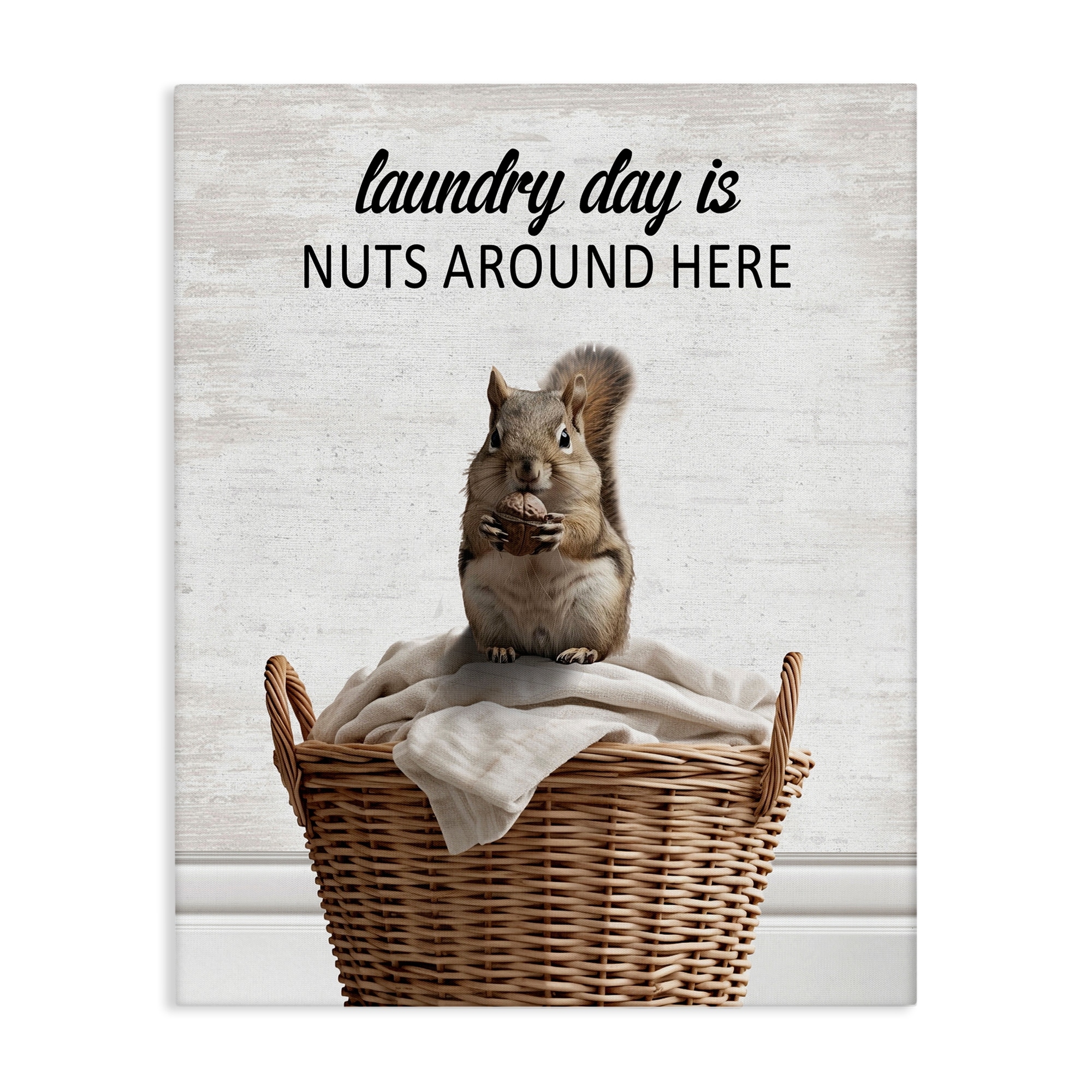 Stupell Funny Laundry Day Is Nuts Canvas Wall Art Design By Lettered and Lined