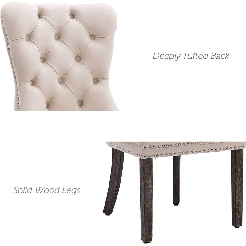Velvet Dining Chairs Set of 2, Accent Diner Chairs Upholstered Fabric Living Room Chairs Side Chair Stylish Kitchen Chairs