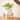 Southern Patio Hemingway Ceremic Square Indoor Planter with Wooden Stand