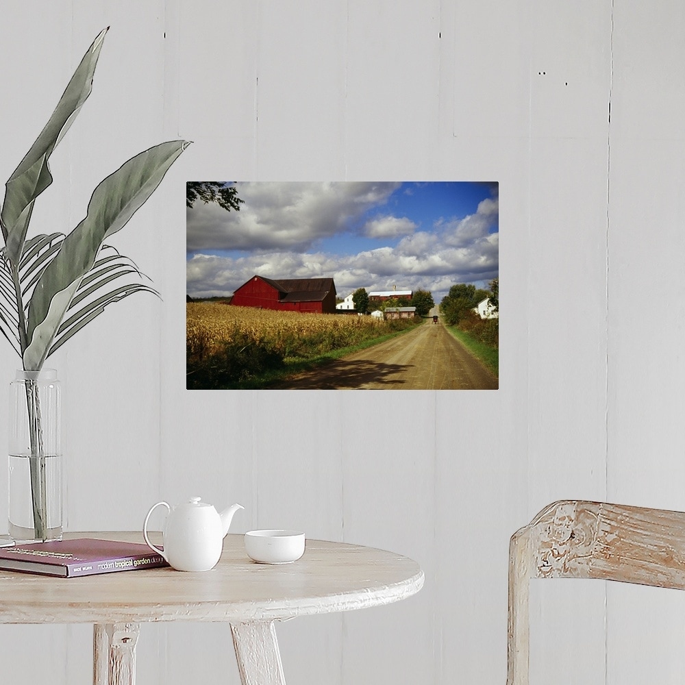 Shop Amish Farm Buildings And Corn Field Along Country Road Ohio