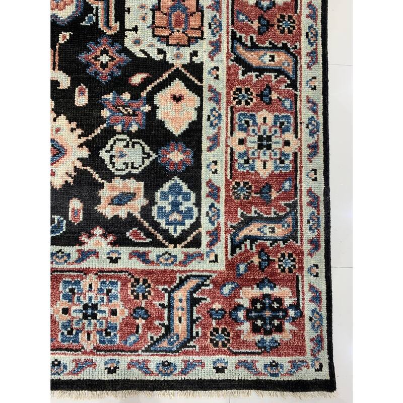 C.Brown/R.Red Hand Knotted Wool Traditional Serapi Rug, 9' x 12', soft cozy area accent - L