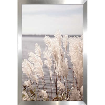 "Pampas Grass" Print on Acrylic