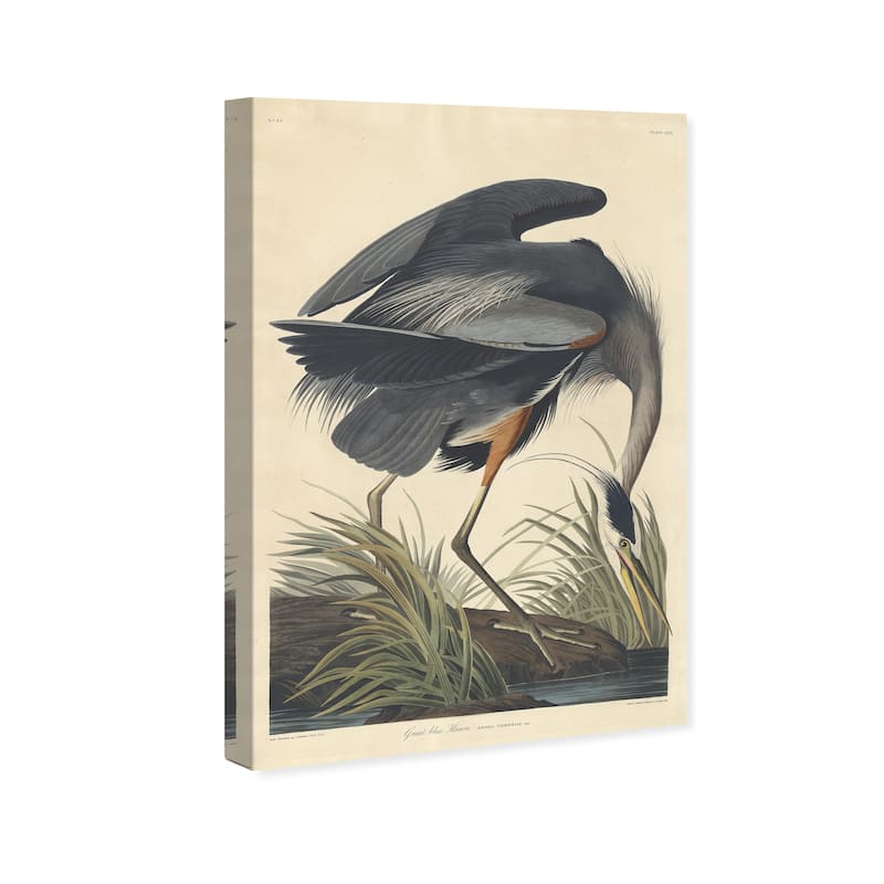 Wynwood Studio Canvas Animals Robert Havell - Great blue Heron Gray and Traditional Wall Art Canvas Print