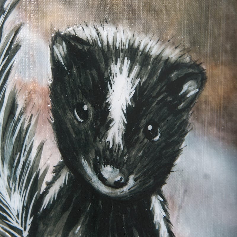 Country Skunk (18 x 27) Canvas Art Print