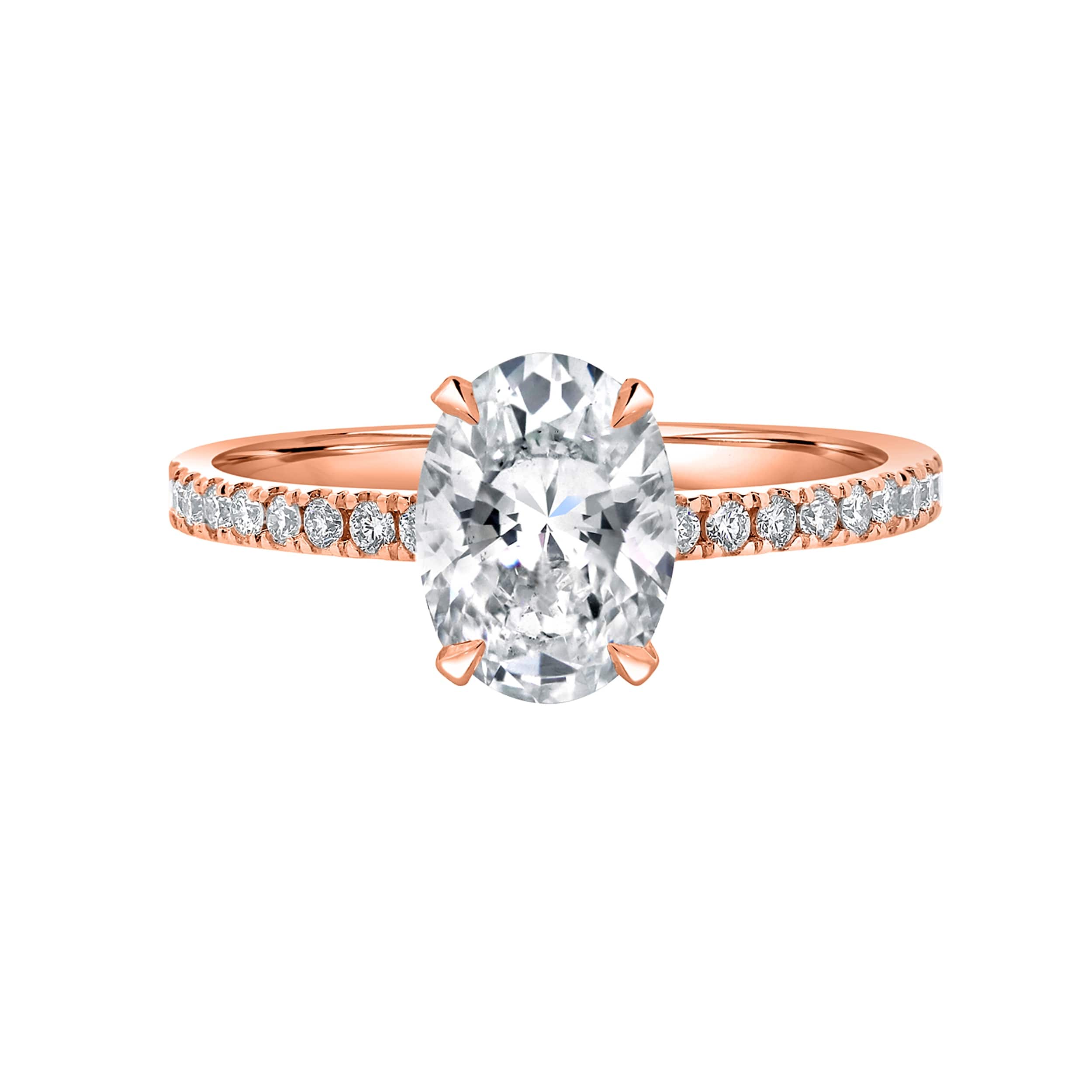 Option Rose