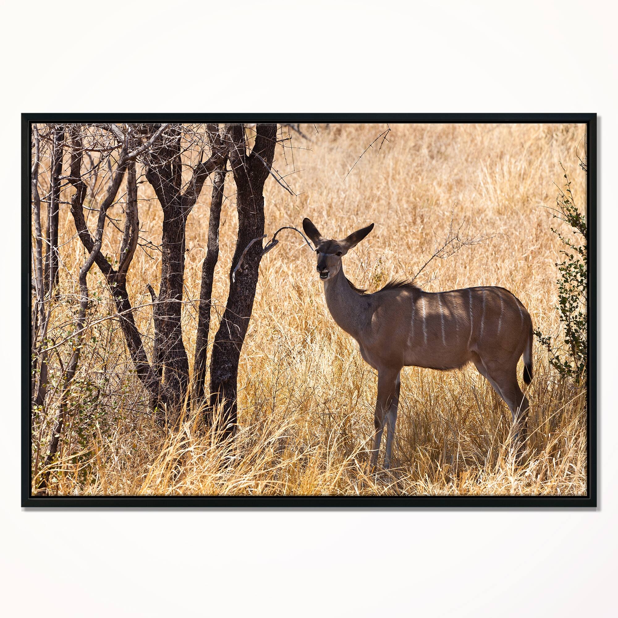 Designart "Grants Gazelle Standing in Long Grass" Animal Framed Canvas
