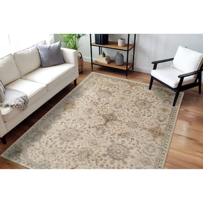 Dynamic Rugs Charlotte Traditional Area Rug