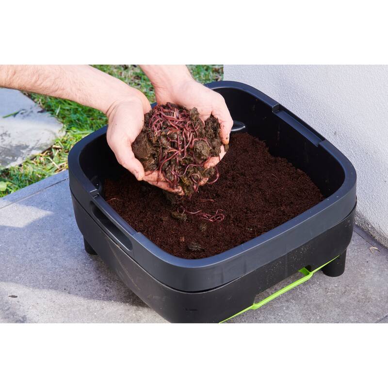 RSI MAZE Worm Farm (3 Trays)