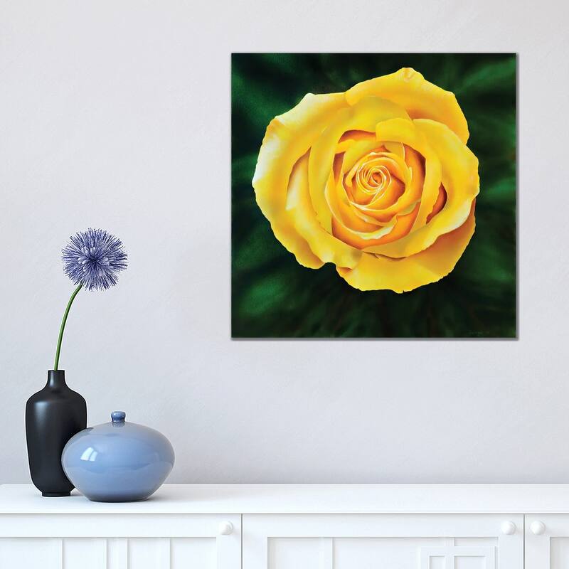 iCanvas "Yellow Rose" by John Salozzo Canvas Print - 18x18x1.5
