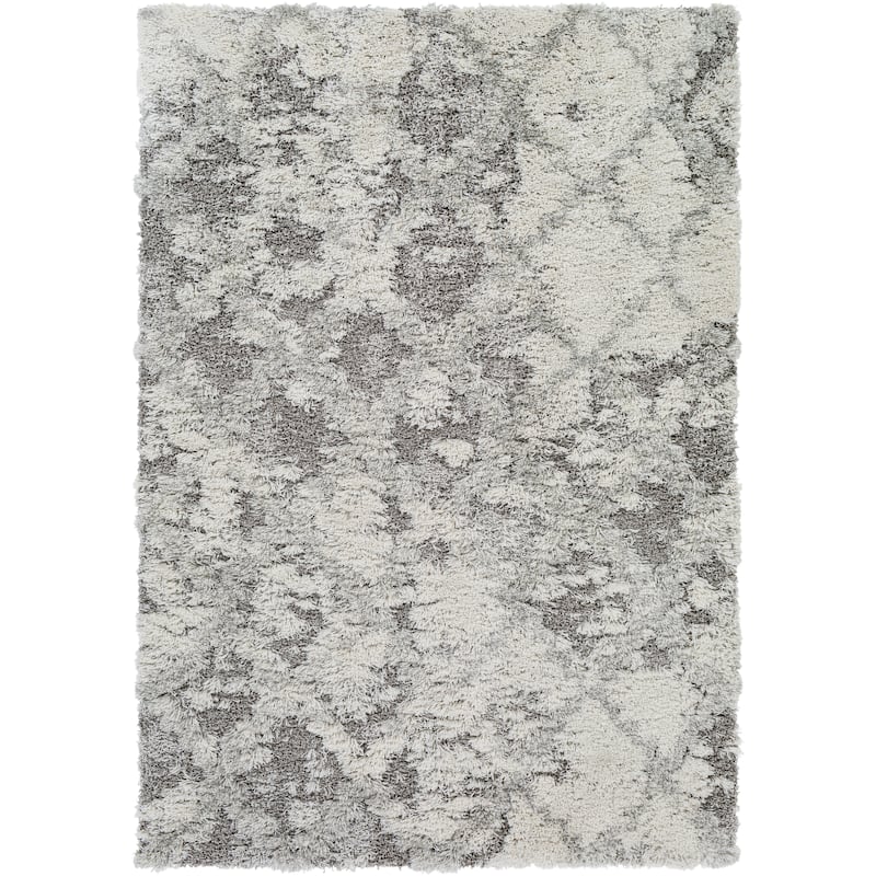 Livabliss Chace Distressed Trellis Shag Area Rug