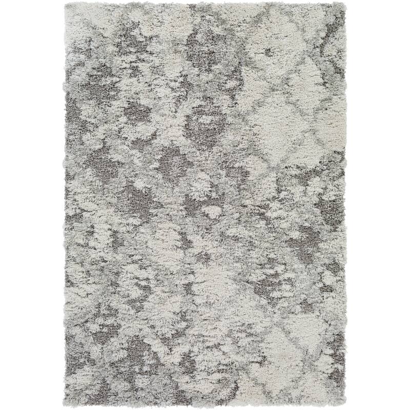 Chace Distressed Trellis Shag Area Rug