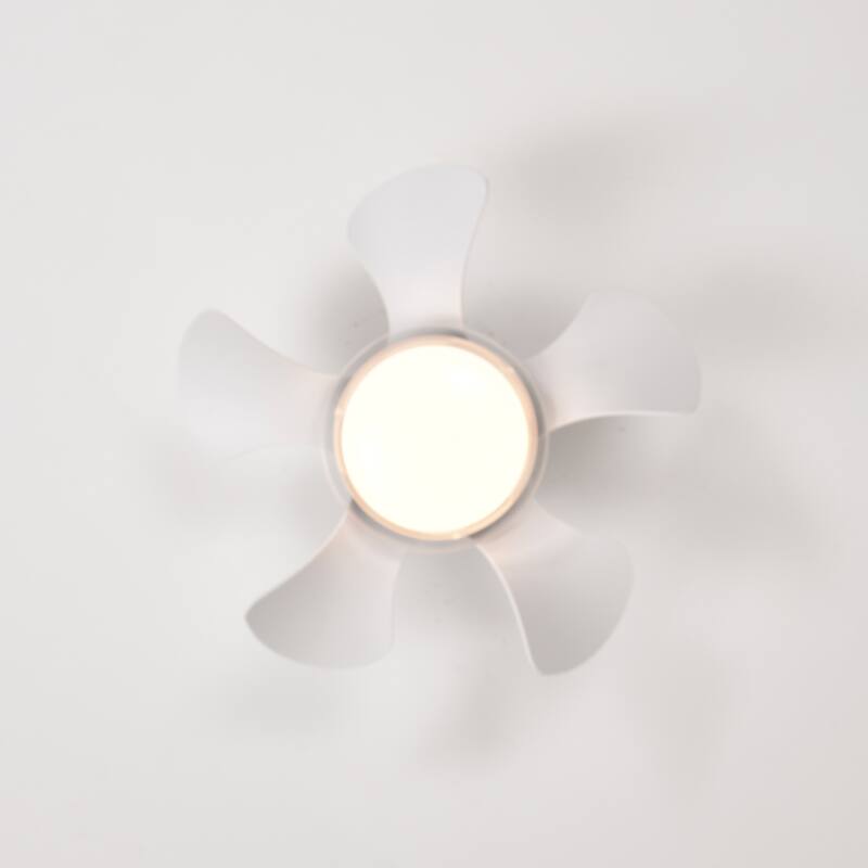 21 inch Ceiling Fan with 3 Color Temperatures Light and Remote Control DC Motor Powerful and low noise