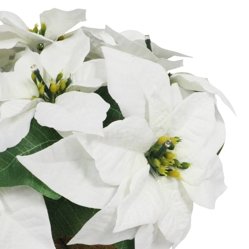 Puleo International 19" Pre-Lit Battery-Operated Artificial Potted White Poinsettias