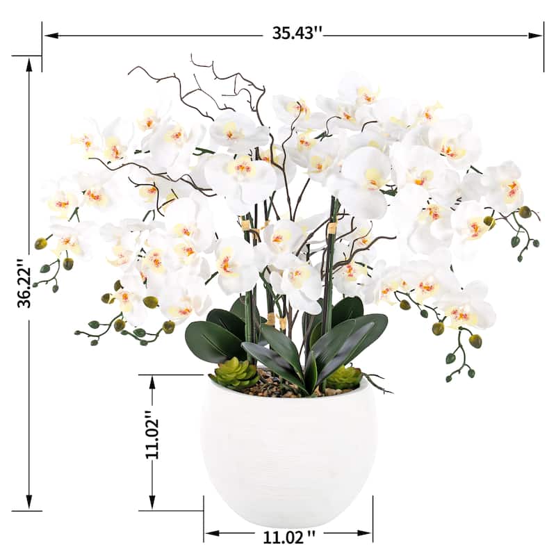 9 Stems Nearly Natural White Phalaenopsis Orchids with Succulents in White Magnesium Oxide Pot - 36.22" H x 35.43" W x 35.43" D