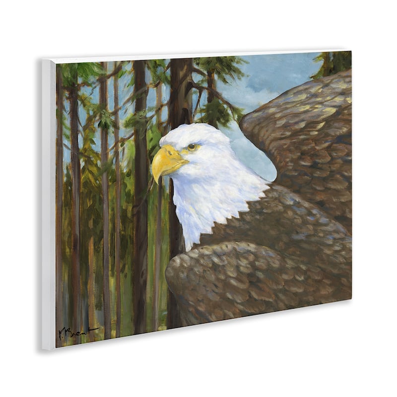 Stupell Woodland Eagle's View Wall Plaque Art Design By Paul Brent