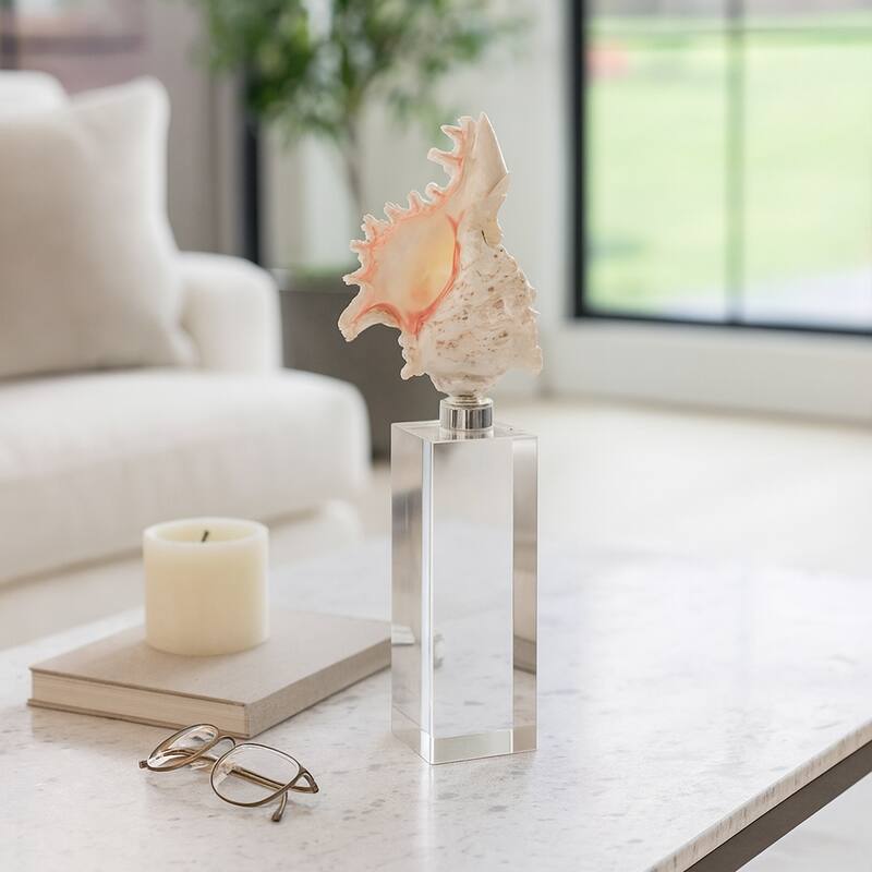 Glass Shell Decorative Object Crystal Block Base Coastal Glam Design