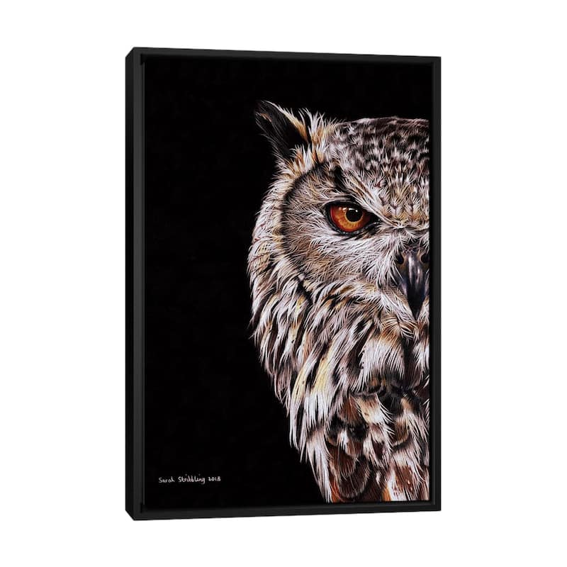 iCanvas "Eagle-Owl I" by Sarah Stribbling Framed Canvas Print - Black - 40x26