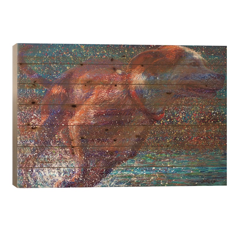 Aquavita Print On Wood by Iris Scott - Multi-Color - 18x26x1.5