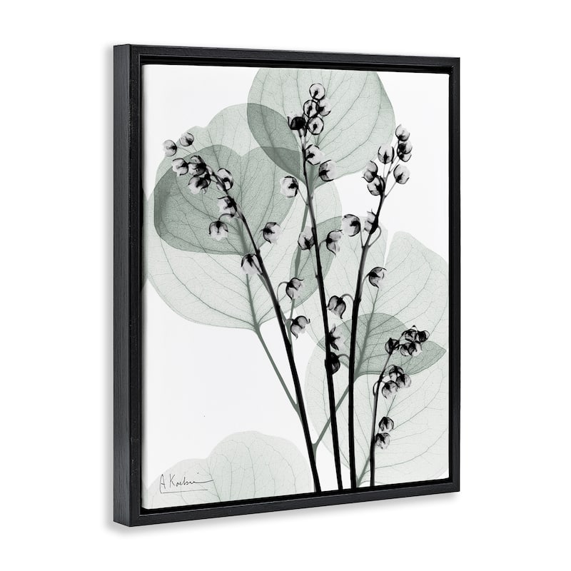 Stupell Fresh Minimalist Herbs Framed Floater Canvas Wall Art Design By Albert Koetsier