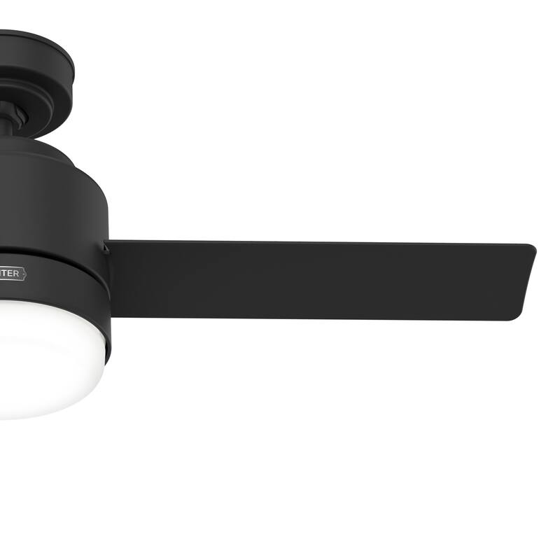Hunter 44" Gilmour Outdoor Ceiling Fan with LED Light, Handheld Remote, Damp-Rated - Transitional, Contemporary