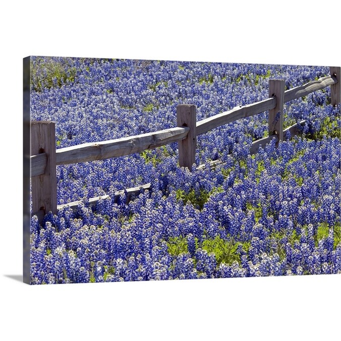 Shop Rustic Wood Fence Through Field Of Bluebonnets Texas Usa