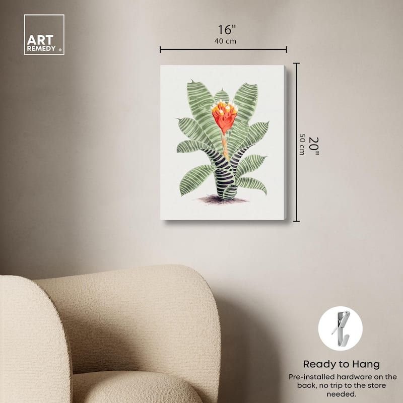 Tillandsia Musaica Plant Canvas by Art Remedy, Gallery Wrapped