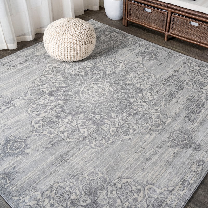 JONATHAN Y Traditional Persian Vintage Medallion Area Rug