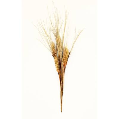 20" Artificial Wheat Spray, Set of 6 - 20