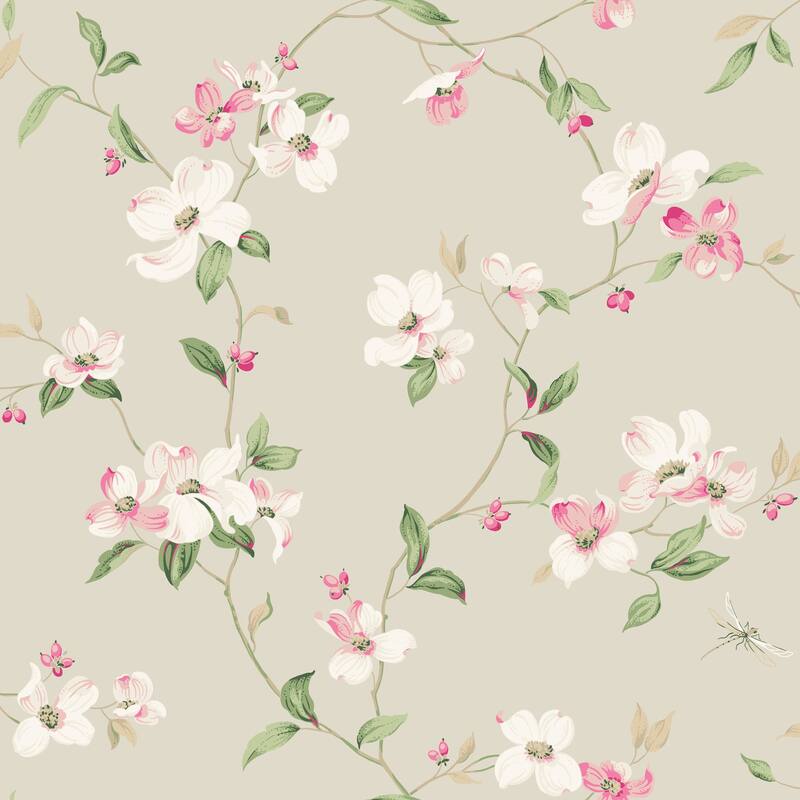York Wallcoverings Dogwood Taupe Wallpaper