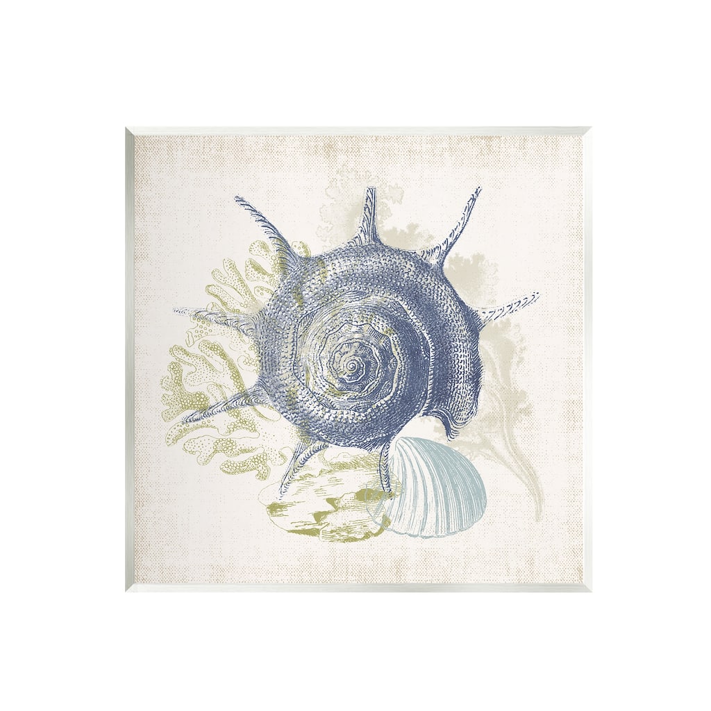 Stupell Intricate Conch Seashell Drawing Layered Coral Botanicals Wood Wall Art, Design by Victoria Barnes