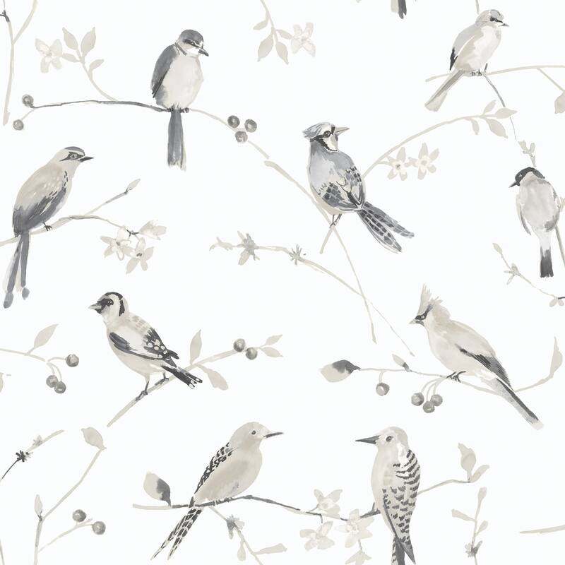 Chesapeake Birdsong Grey Trail Wallpaper